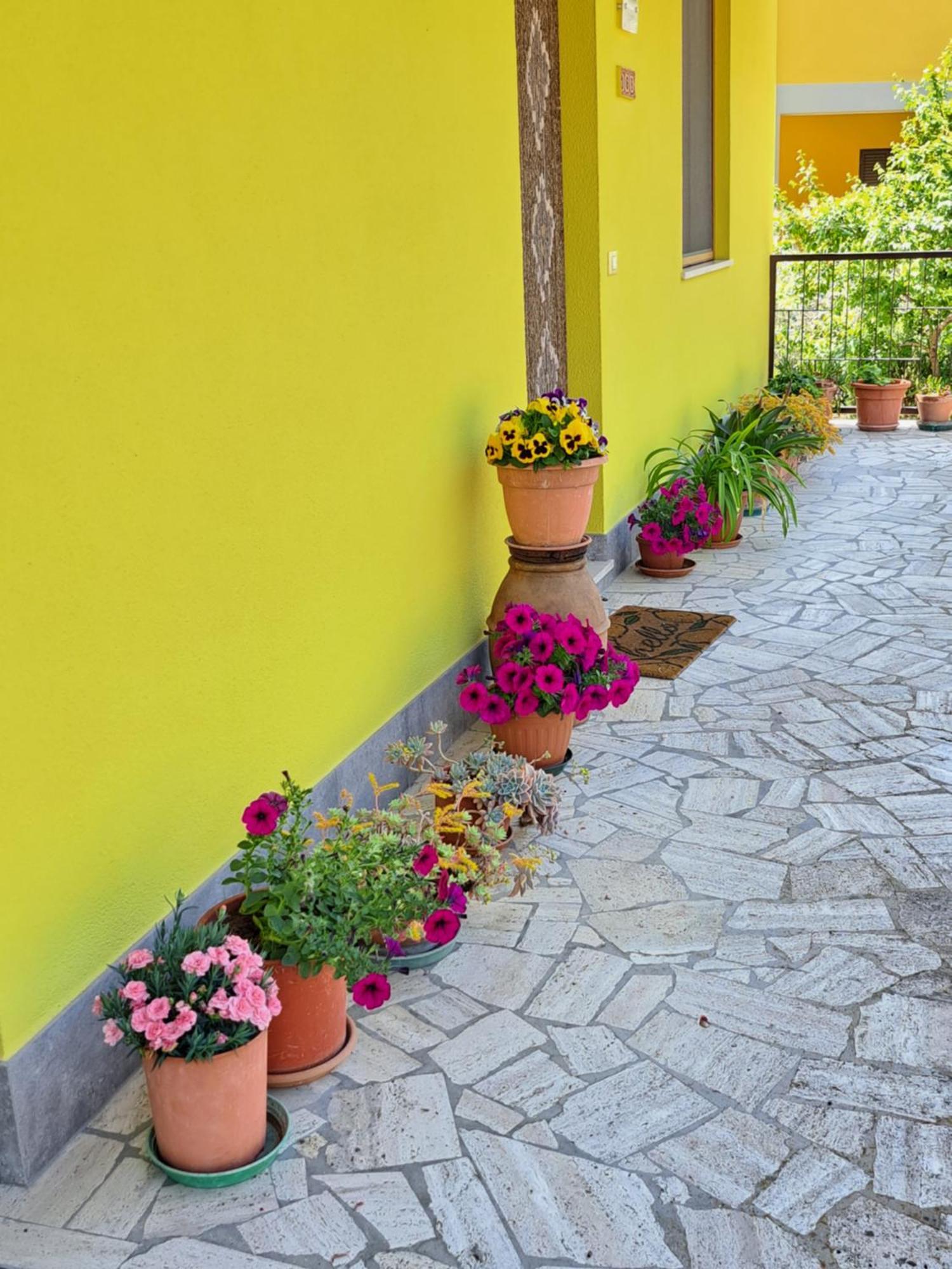 Casa Gli Ulivi Montepulciano Exterior foto