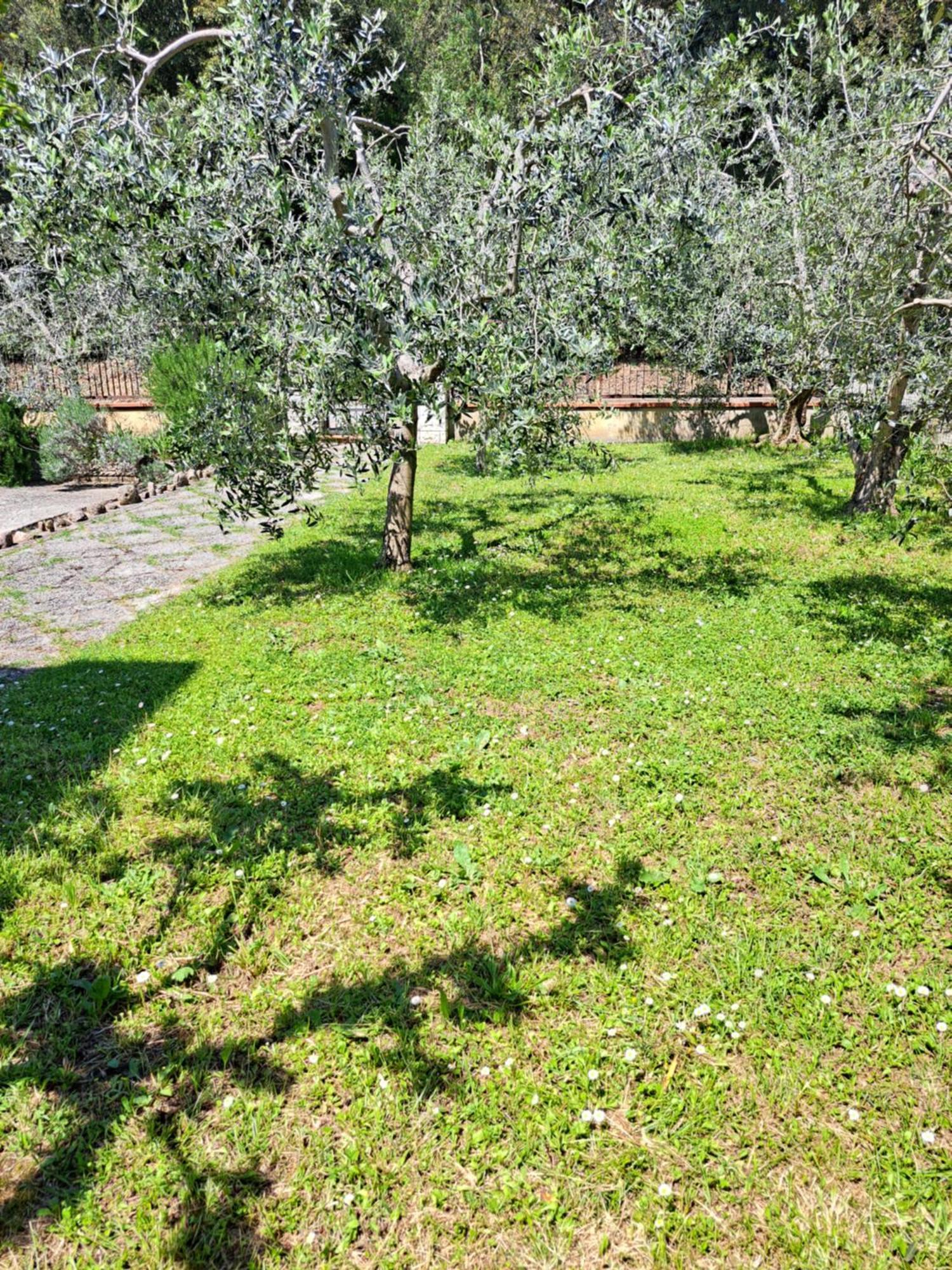 Casa Gli Ulivi Montepulciano Exterior foto