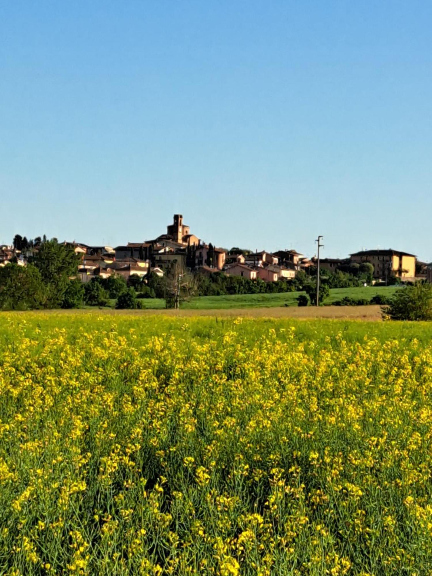 Casa Gli Ulivi Montepulciano Exterior foto